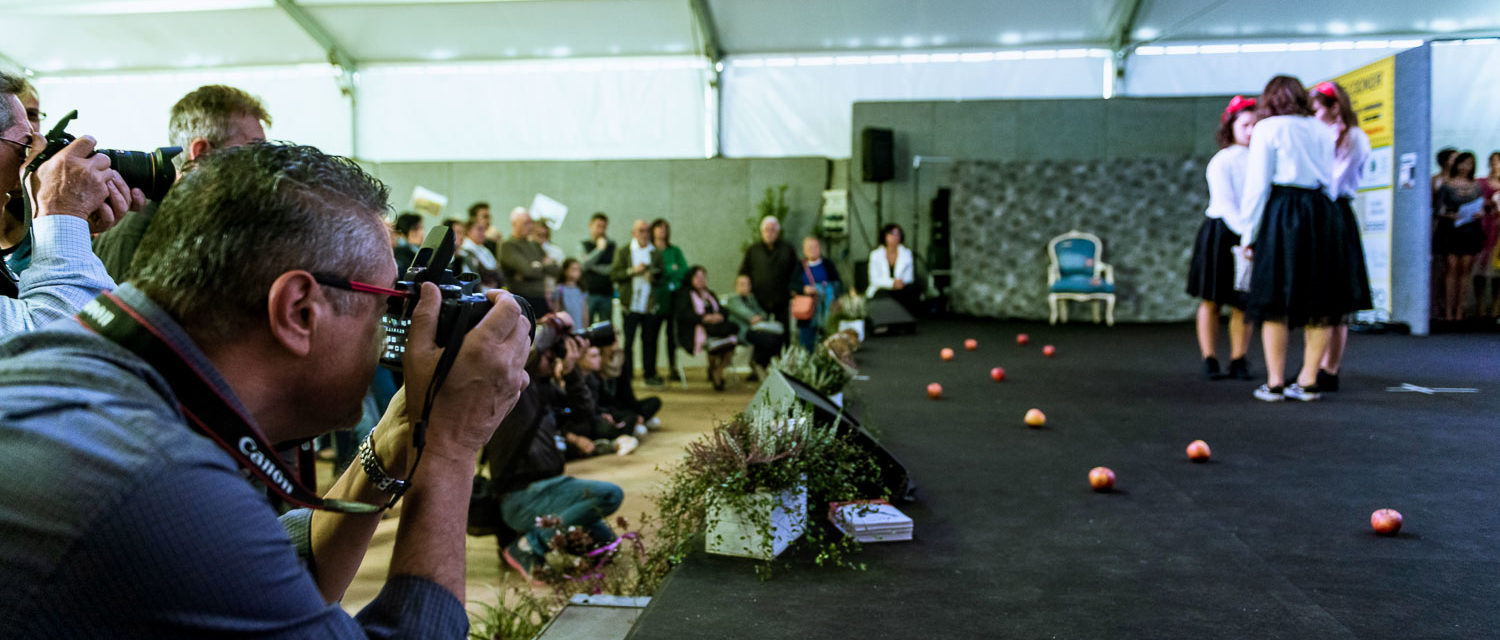 FOTO_WORKSHOP_FLOW_BALLO (6)